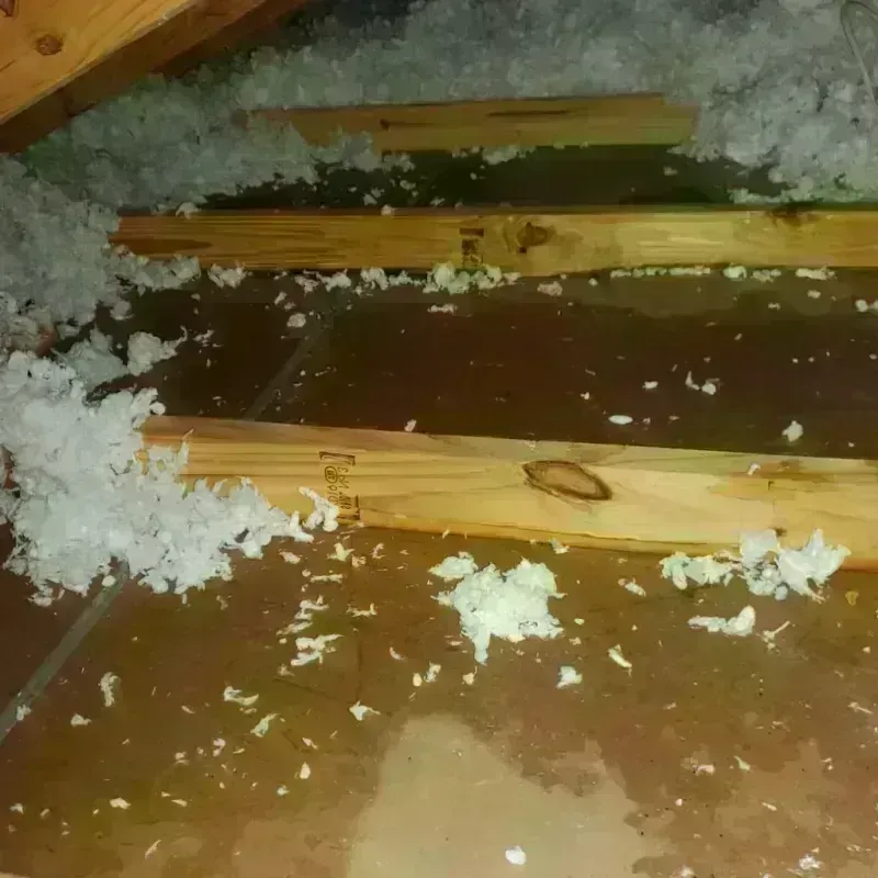 Attic Water Damage in De Lisle, MS